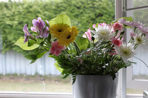 Kitchen Window